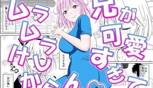 兄が可愛すぎてムラムラけしからん