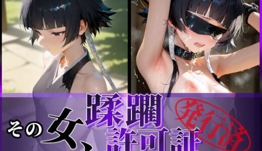 その女、蹂躙許可証発行済み -街の男たちに好き放題使われるヒロインCG集- 砕〇編