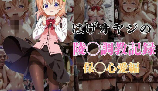 はげオヤジの陵◯調教記録保◯心愛編