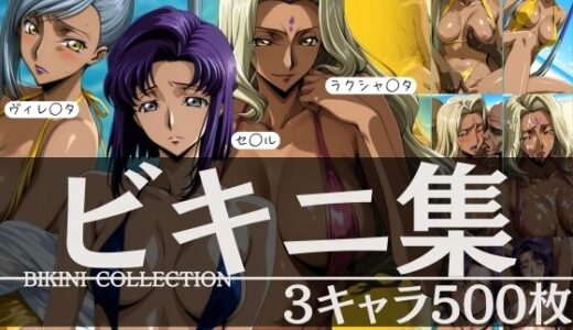 ビキニ集3キャラ500枚  ヴィレ◯タ セ◯ル ラクシャ◯タ