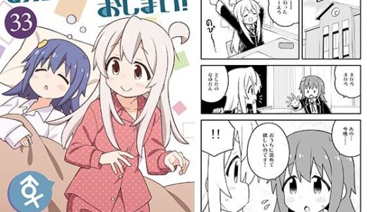 お兄ちゃんはおしまい！33