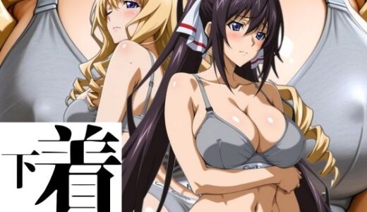 あの下着を着せてみた。 ほ〇き＆セ〇リア