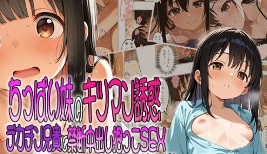 ちっぱい妹のキツマン誘惑〜デカチン兄貴と禁断中出し抱っこSEXしちゃった話