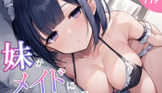 妹がメイドになった日、俺は一線を超える