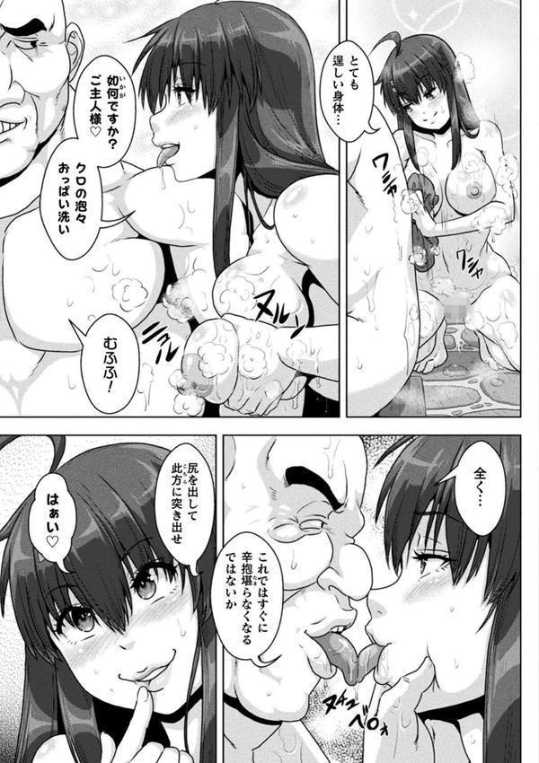 サムライヴァンダリズム THE COMIC エロ画像 029