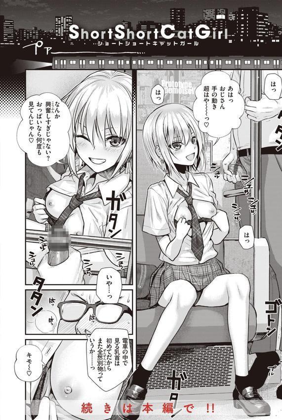 プロトタイプティーンズ エロ画像 031