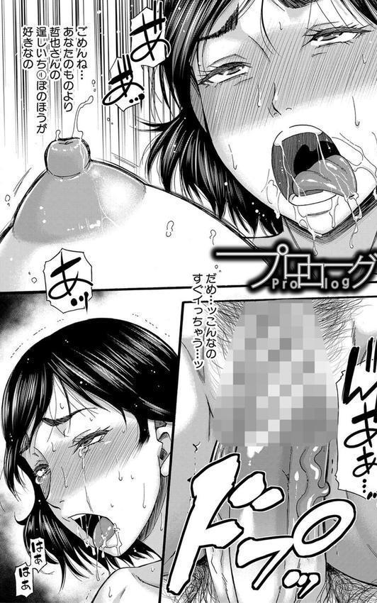 嫌いな奴等の女を種付け調教 エロ画像 003