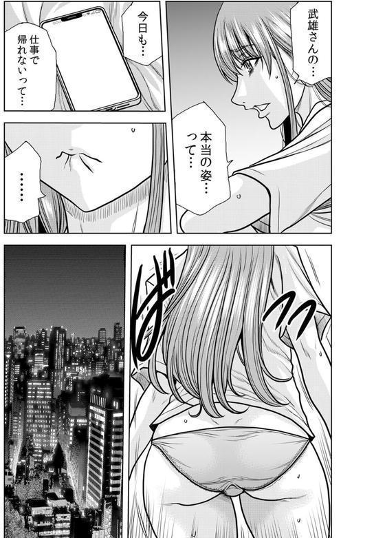 ネトラレ奥さん〜夫の連れ子に抗えず一晩中イカされ続ける絶倫SEX 29 エロ画像 003