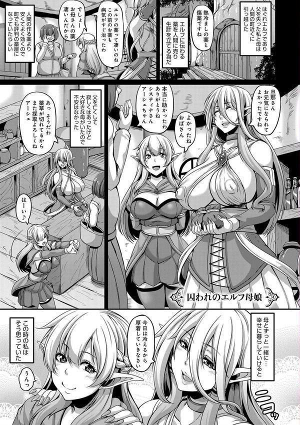 愛嬢の淫辱エルフ エロ画像 004