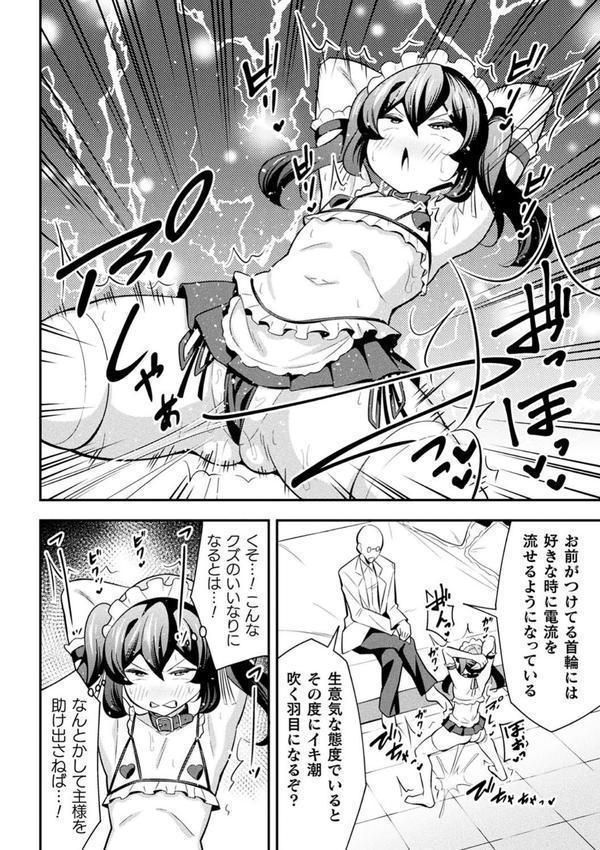 鉄甲忍者つばめ 雌餓鬼変化 第2話 エロ画像 004