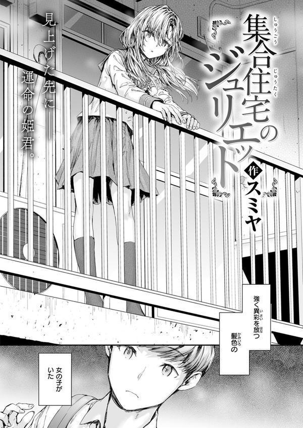 集合住宅のジュリエット エロ画像 004