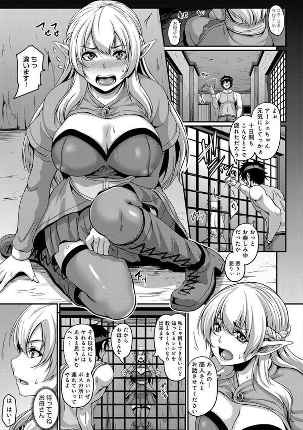 愛嬢の淫辱エルフ エロ画像 006