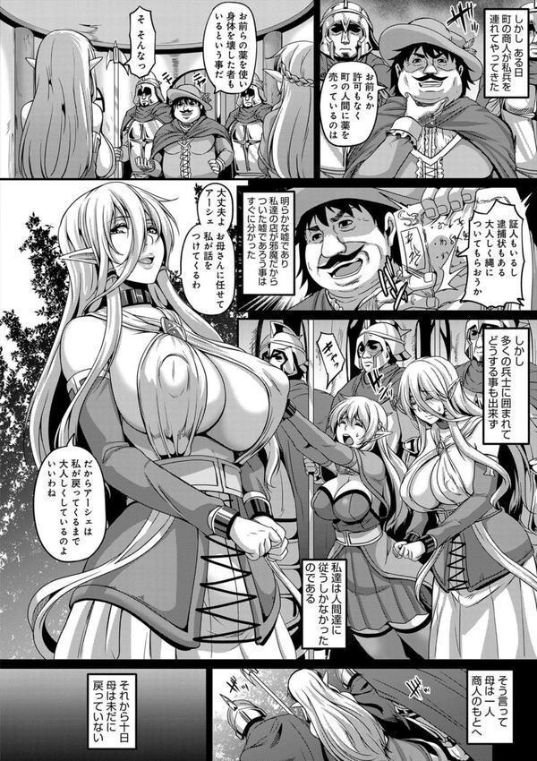 愛嬢の淫辱エルフ エロ画像 005