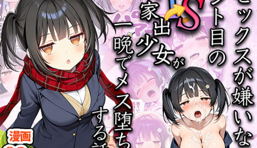 セックスが嫌いなジト目TS家出少女が一晩でメス堕ちする話
