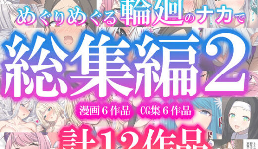 めぐりめぐる輪廻のナカで総集編2