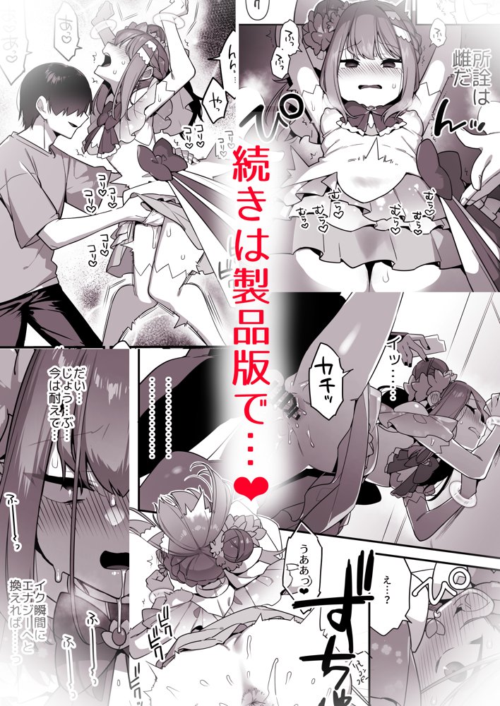 悪の手先になったので。〜魔法少女を凌●します〜3前編 エロ同人誌画像 028