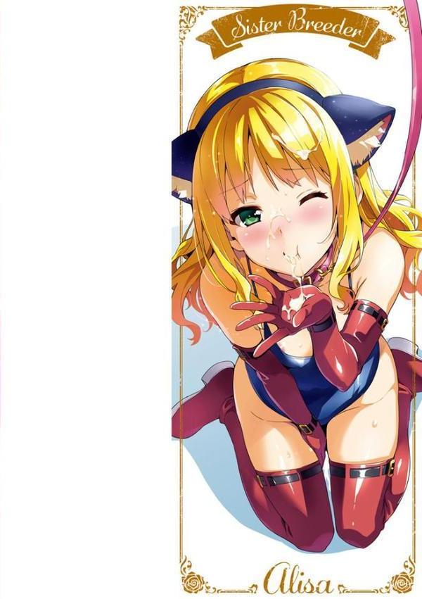 シスターブリーダー エロ画像 002