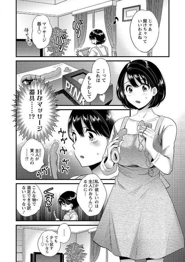 主人には内緒 エロ画像 010