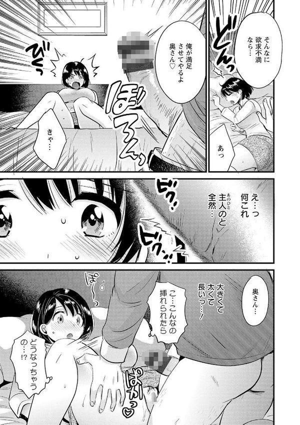 主人には内緒 エロ画像 015